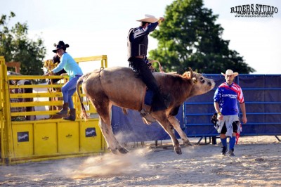 Rodeo na bykach