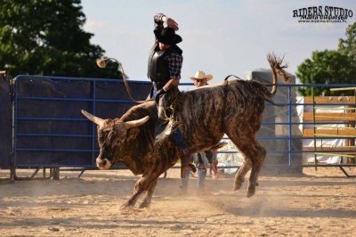 Rodeo na bykach