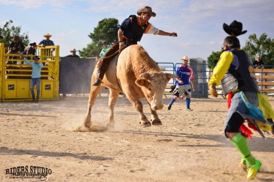 Rodeo na bykach