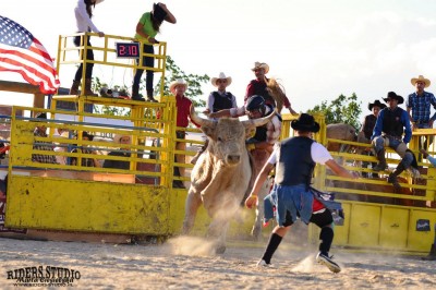 Rodeo na bykach