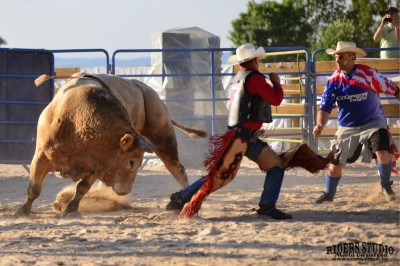 Rodeo na bykach