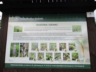 Nowa świetlica środowiskowa