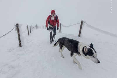 III Zimowy Ultramaraton Karkonoski im. Tomka Kowalskiego przeszedł do historii