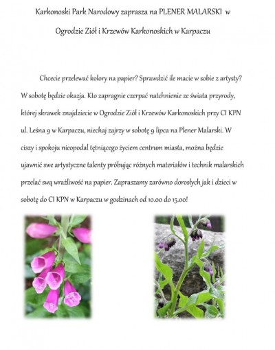 PLENER MALARSKI w Ogrodzie Ziół i Krzewów Karkonoskich w Karpaczu