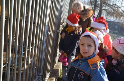 Zbiórka karmy dla zwierząt w Zespole Szkół w Karpaczu