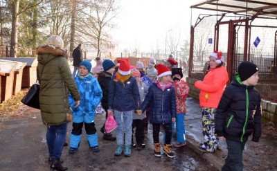 Zbiórka karmy dla zwierząt w Zespole Szkół w Karpaczu