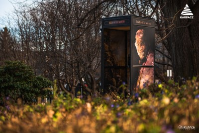 Budka Tadeusza Różewicza w Parku przy Lipie Sądowej