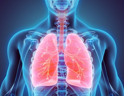 Program wczesnego wykrywania raka płuca
