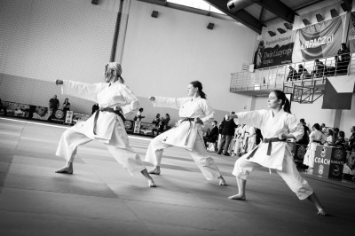 II SUDETES OPEN - KARATE GRAND PRIX