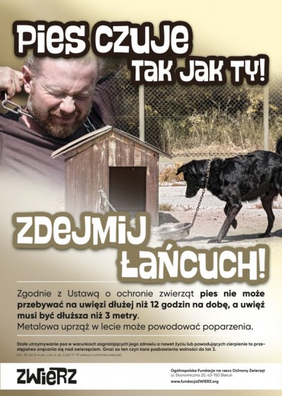 Apel do właścicieli psów