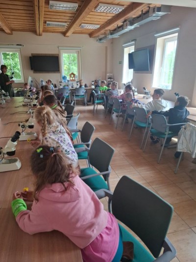 Półkolonie letnie w Karpaczu – lato 2025
