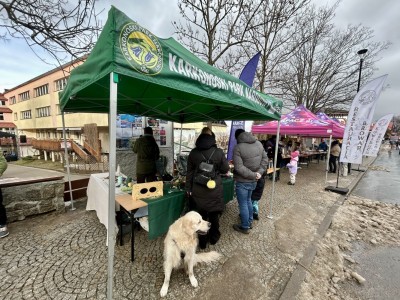 ❤ 34. Finał WOŚP w Karpaczu ❤