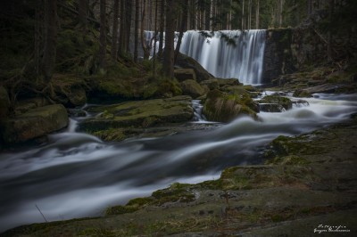 /img/Fotograficy/truchanowicz/Truchanowicz_grzegor